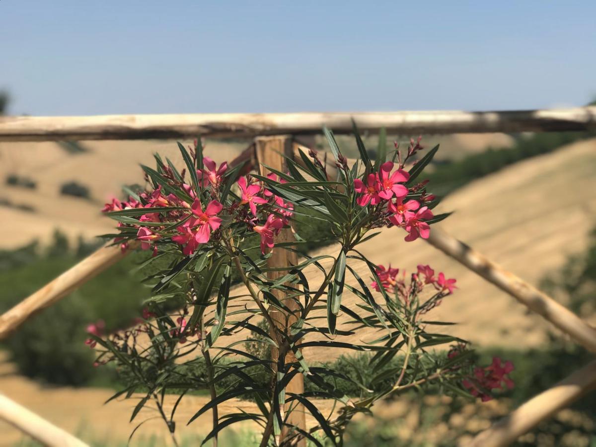 לינה וארוחת בוקר Santa Maria Nuova  Il Posto Perfetto מראה חיצוני תמונה